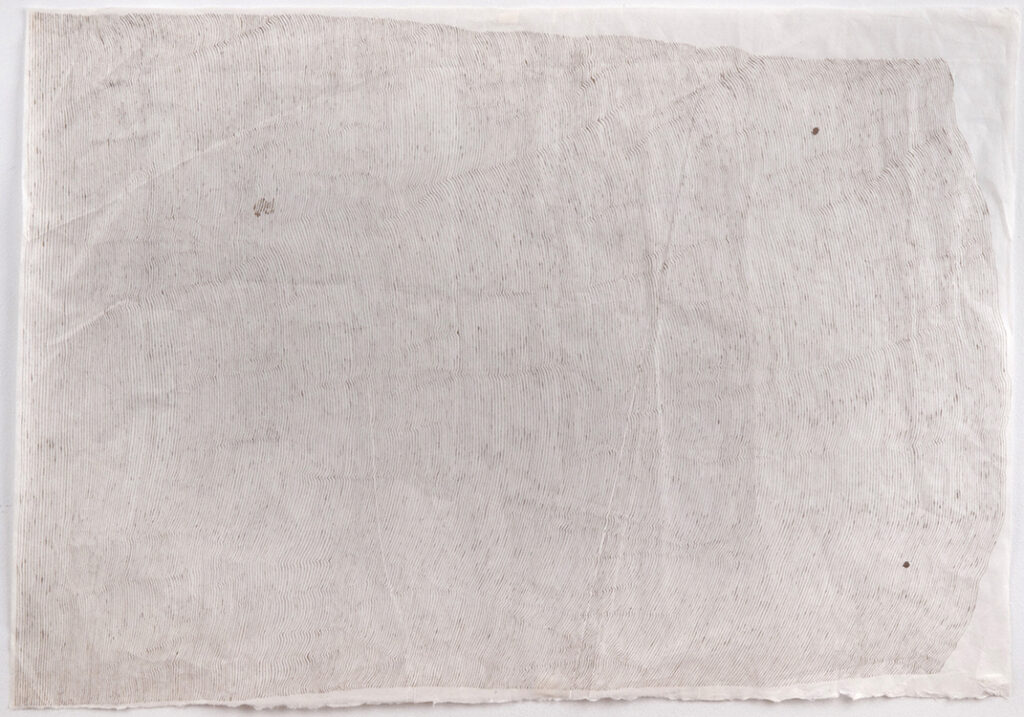 Cheryl Levin, Grief Journey with Two Mistakes, 2020, Ink on rice paper, 24 x 36 inches