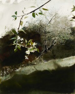 Andrew Wyeth (1917-2009), Bartlett Pear (SOLD), 1983, Watercolor, 23 ⅜ x 18 ½ inches