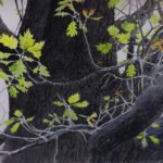 Greg Mort, Young Oak Leaves, 2021, Watercolor, 21 x 29 inches