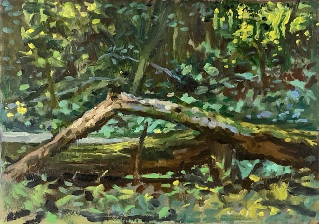 Michael Doyle, Woodland Light, 2021, Oil on panel, 6 x 8 1/2 inches