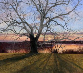 Timothy Barr, Sycamore Sunset (SOLD), Oil on panel, 30 x 34 inches