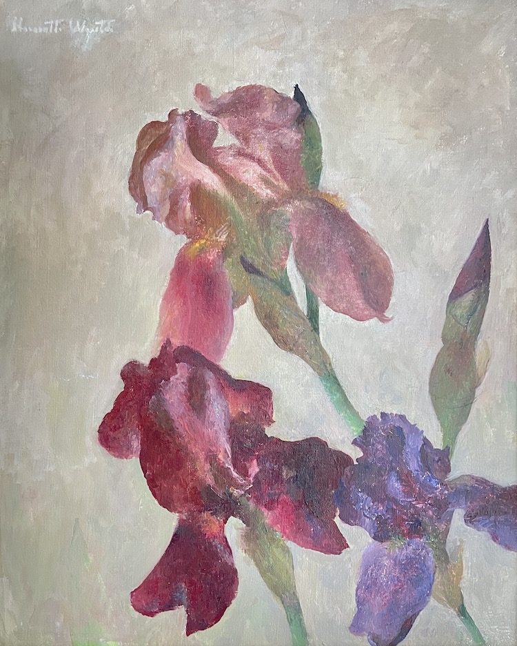 Henriette Wyeth, Iris, Oil on canvas, 20 x 16 inches