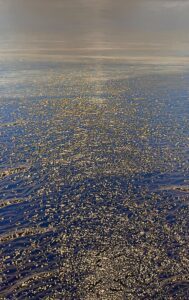 Theo Platt, Azure II, 2022, Oil on canvas, 65 ¾ x 41 ¾ inches