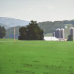 Michael Allen, Midsummer, 2023, Oil on linen, 22 x 24 inches