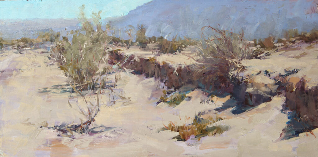 Nancy Macdonald, Anza Borrego, Oil, 10 x 20 inches - SOLD -