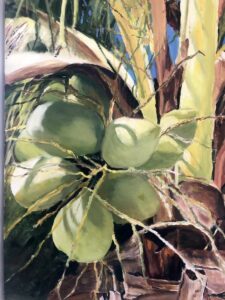 Judith Stach AIS, Coconuts, Oil, 24 x 18 inches, $3,500