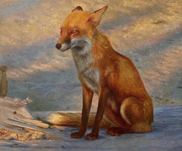 Drew Ernst, Sitting Beach Fox, 2022, oil on canvas, 15 x 18 inches