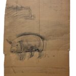 Jamie Wyeth, Pig and the Train Study, 1977, Charcoal on cardboard, 28 x 23 inches