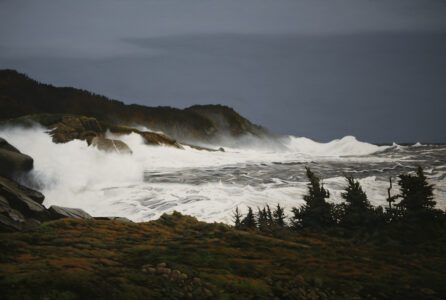 Peter Sculthorpe, Aftermath, Oil on linen, 32 x 48 inches