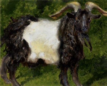 Jamie Wyeth, Black and White Goat, 2008, Combined mediums on toned paper board, 16 x 20 inches