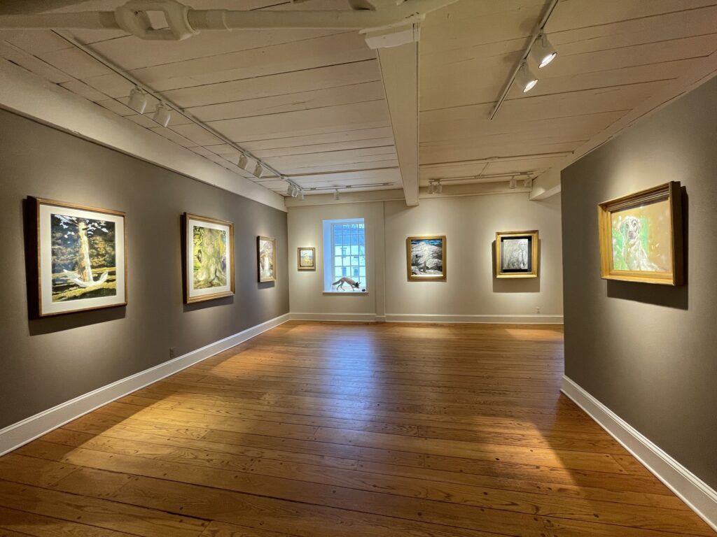 'Jamie Wyeth: Mysterious Familiar' Installation Shot