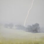 Michael Allen, Lightning, 2023, Oil on Linen Mounted to Panel, 20 x 16 ½ inches