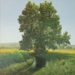 Peter Sculthorpe, Turon's Meadow, 2004, Oil on linen, 29 x 29 inches