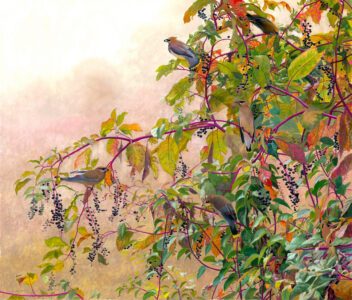 Timothy Barr, Cedar Waxwing, 2024, Oil on panel, 23 x 27 inches - SOLD -