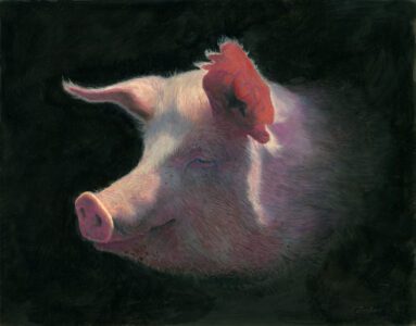 SOLD - Timothy Barr, George, 2024, Oil on panel, 11 x 14 inches