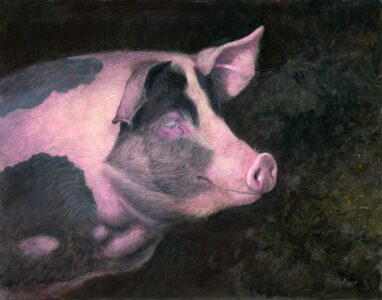 Timothy Barr, Malcolm, 2024, Oil on panel, 11 x 14 inches