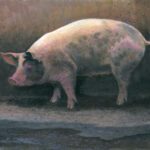 Timothy Barr, Stella, 2024, Oil on panel, 11 x 14 inches