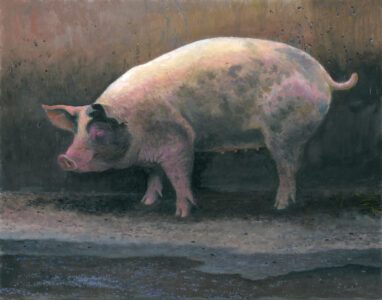 Timothy Barr, Stella, 2024, Oil on panel, 11 x 14 inches