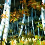 Philip Koch, Light in the Forest, 2023, Oil on canvas, 20 x 30 inches