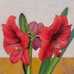 Stephen Tanis, Amaryllis, 2024, Oil on canvas, 12 x 12 inches