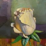Stephen Tanis, Rose, 2024, Oil on canvas, 12 x 12 inches