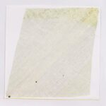 Cheryl Levin, Green Landscape While Listening to an Overgrown Path, 2025, Ink on wove paper, 28 x 28 inches