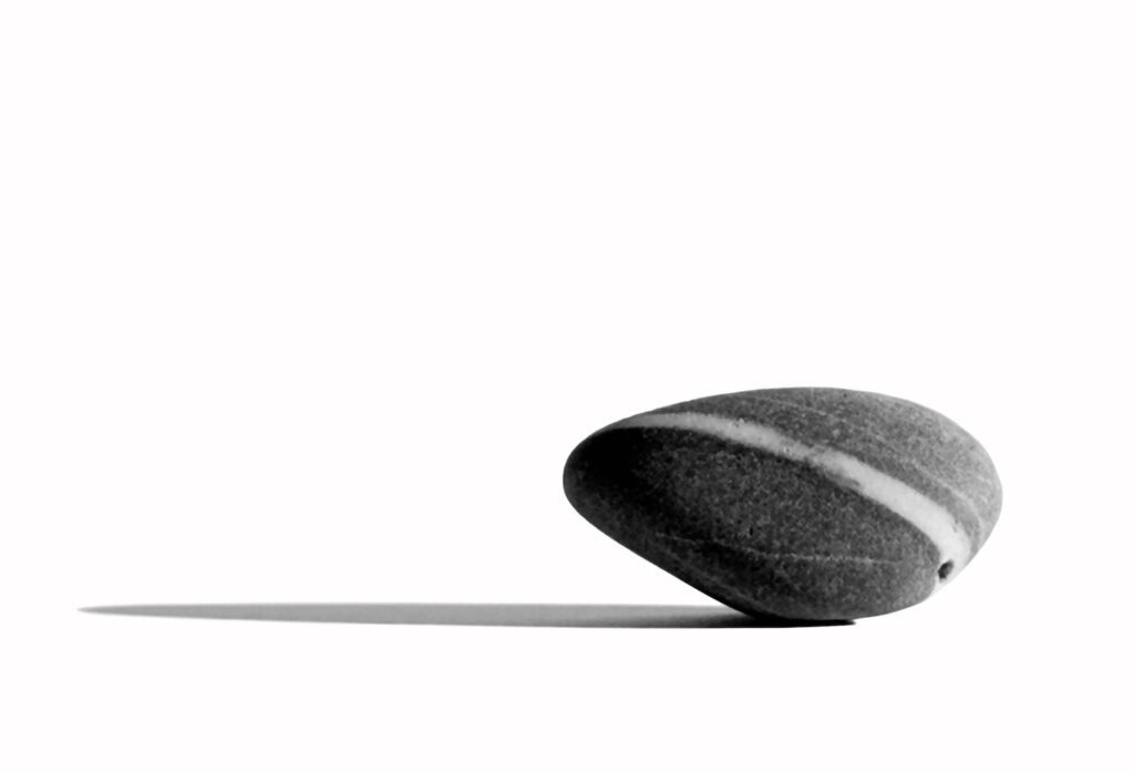 SOLD - Jon Mort, Windswept, 2025, Graphite on Bristol Board, 14 x 27 ¾ inches