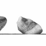 Jon Mort, Kinship, 2025, Graphite on Bristol Board, 9 ¼ x 28 inches