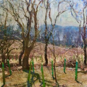 - SOLD - Jon Redmond, Newly Planted Trees, 2025, Oil on board, 10 x 10 inches