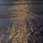 Theo Platt, Blood Moon, Oil on canvas, 78 x 60 inches