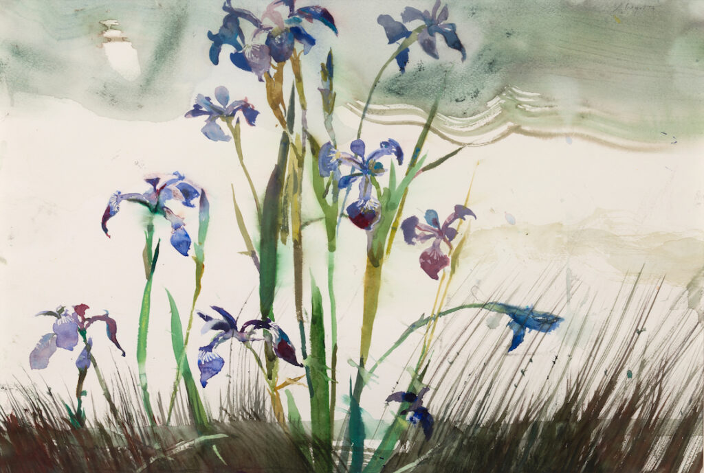 Andrew Wyeth (1917-2009), Iris, 1997, Watercolor on paper, 13 ¼ x 19 ¼ inches