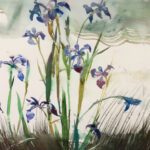 Andrew Wyeth (1917-2009), Iris, 1997, Watercolor on paper, 13 ¼ x 19 ¼ inches