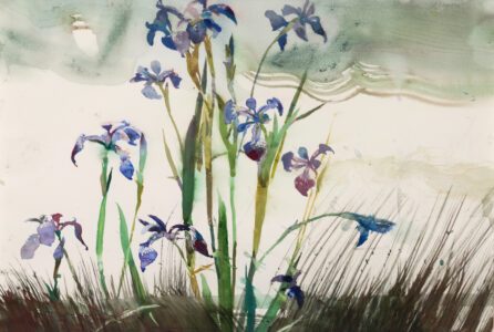 Andrew Wyeth (1917-2009), Iris, 1997, Watercolor on paper, 13 ¼ x 19 ¼ inches