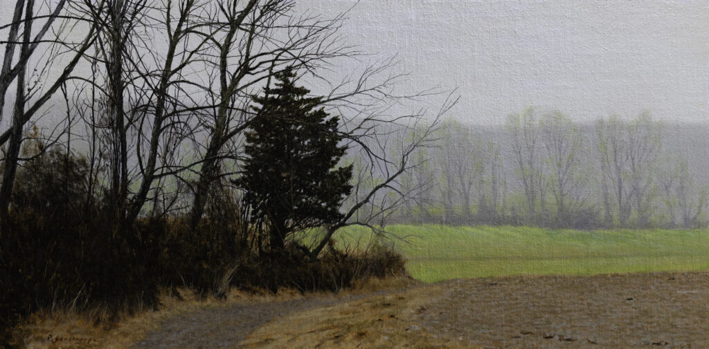 - SOLD - Peter Sculthorpe, Spring Light, 2025, Oil on mounted linen, 8 x 16 inches