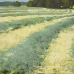 Michael Allen, Cut and Raked, 2025, Oil on panel, 8 ½ x 10 inches