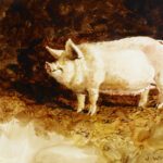 Jamie Wyeth (b. 1946), Pig (Den-Den), 1970, Watercolor and graphite on paper, 10 ½ x 13 ½ inches