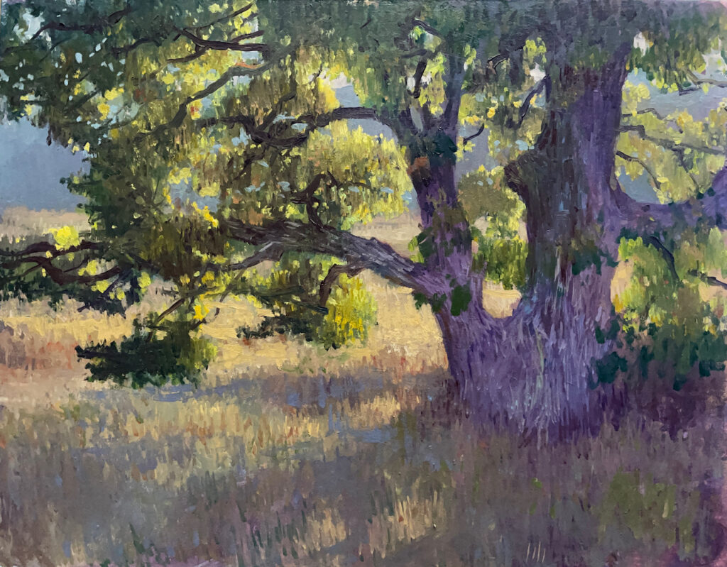 Francis DiFronzo, Black Star Live Oak, Oil on panel, 11 x 14 inches