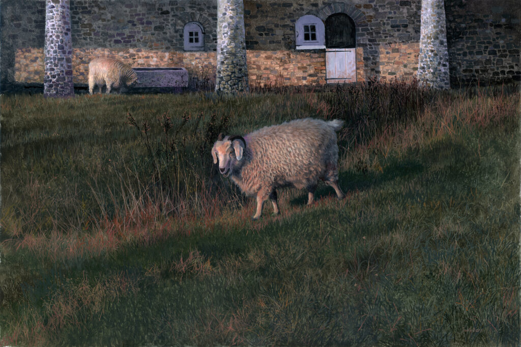 - SOLD - Timothy Barr, Barnyard, 2026, Oil on panel, 16 x 24 inches