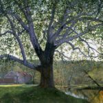 Timothy Barr, Brinton Mill Backlit III, 2026, Oil on panel, 32 x 40 inches