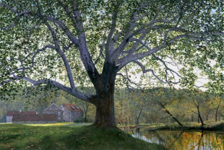 Timothy Barr, Brinton Mill Backlit III, 2026, Oil on panel, 32 x 40 inches
