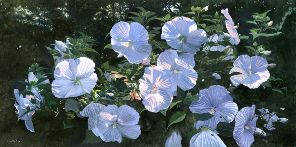 Timothy Barr, Hibiscus, 2026, Oil on panel, 12 x 24 inches