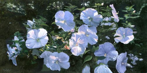 Timothy Barr, Hibiscus, 2026, Oil on panel, 12 x 24 inches