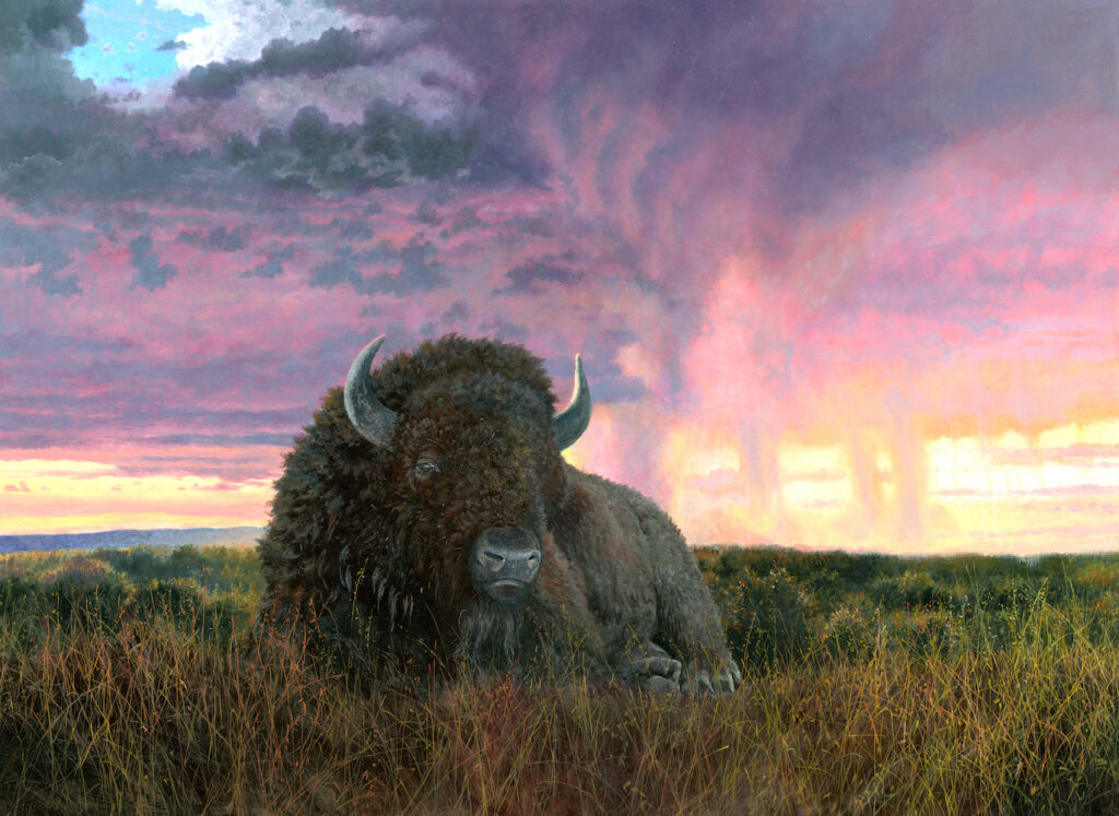 Timothy Barr, Tatanka, 2026, Oil on panel, 22 x 30 inches