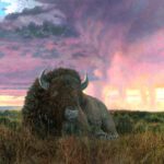 Timothy Barr, Tatanka, 2026, Oil on panel, 22 x 30 inches
