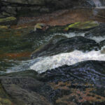 Timothy Barr, White Water, 2026, Oil on panel, 12 x 30 inches