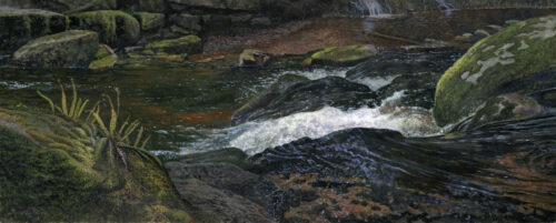 Timothy Barr, White Water, 2026, Oil on panel, 12 x 30 inches